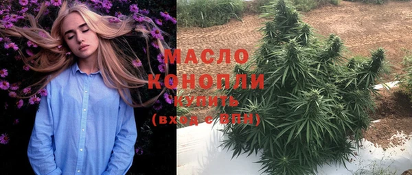 гидра Яровое