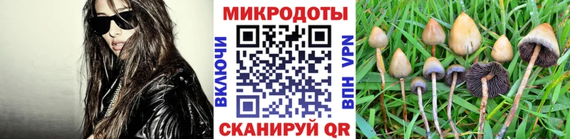 Галлюциногенные грибы мицелий  Купить закладки  Торопец 