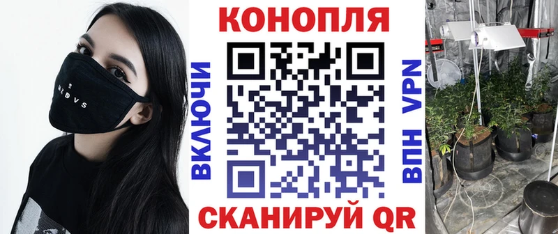 Купить закладки  Торопец  Марихуана тримм 